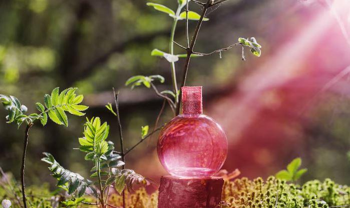 Como fragrâncias naturais podem melhorar ambientes sustentáveis