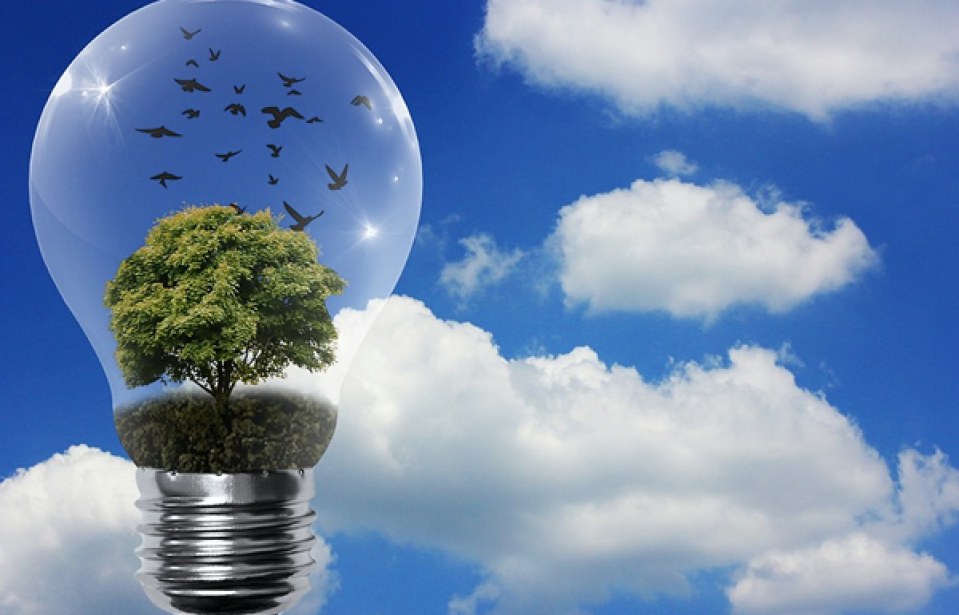 A Importância das Avaliações no Google para Empresas de Energia Renovável